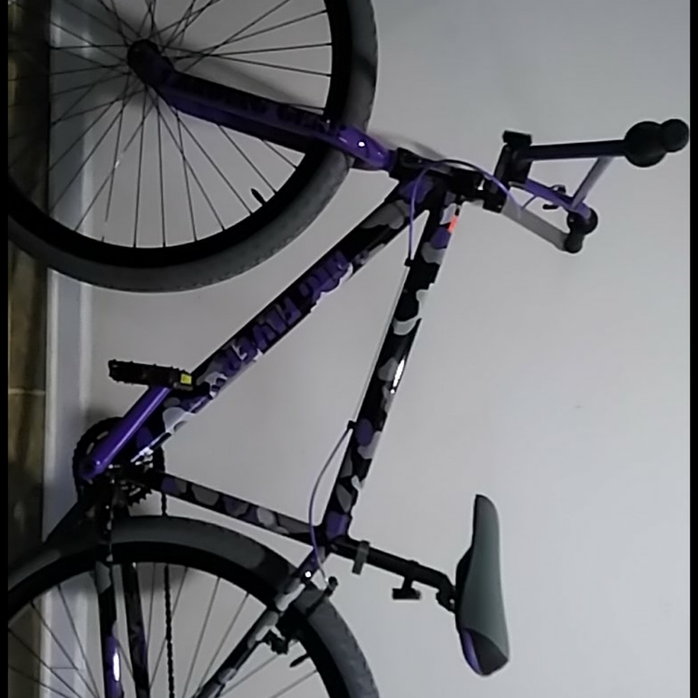 SE bike